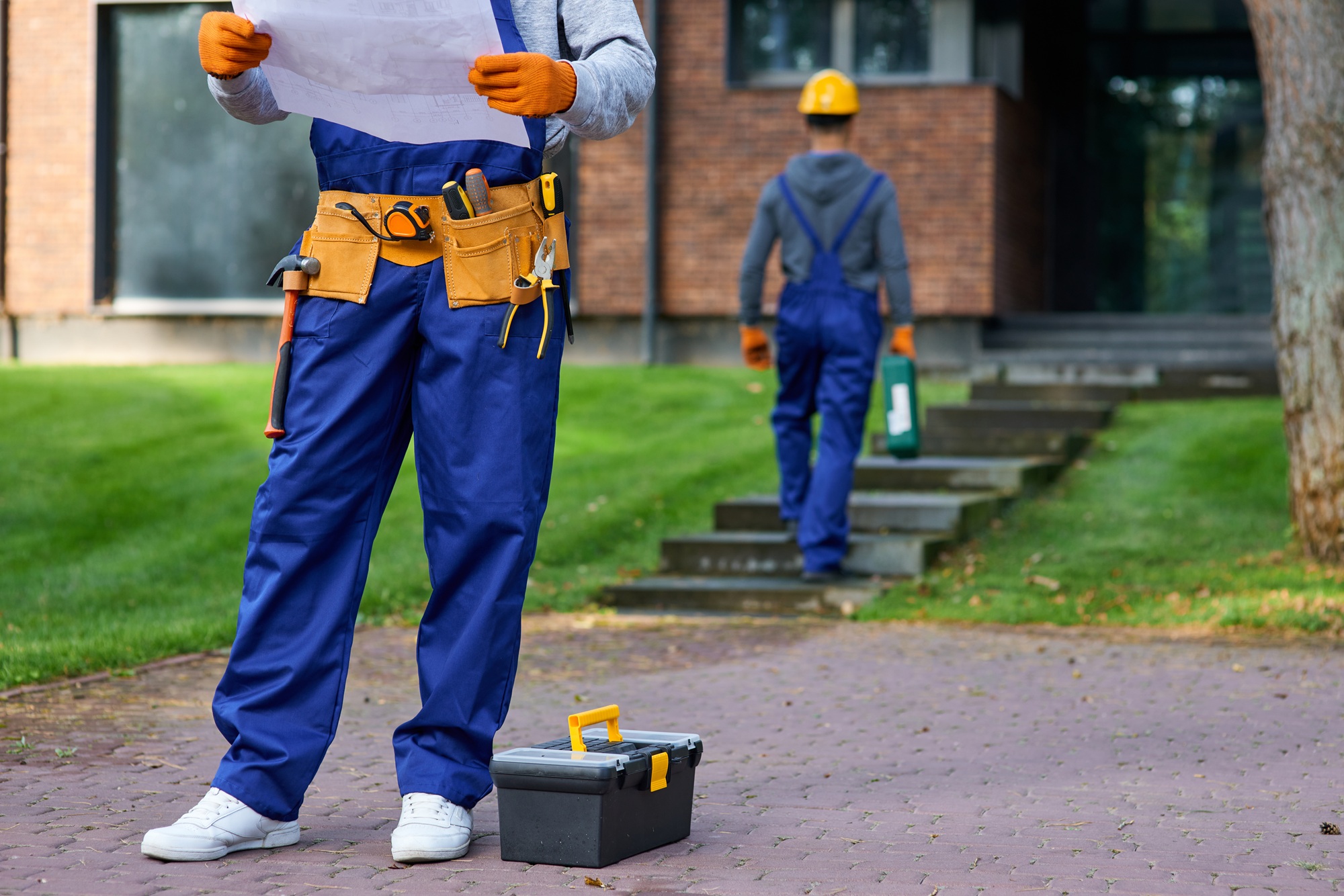pest and building inspection cost