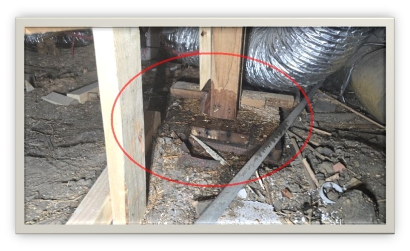 Real Problem Became Clear Underneath the Home