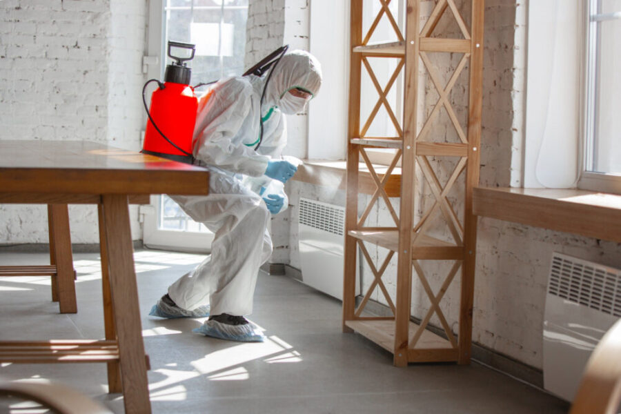 Home or Business Pest Inspection