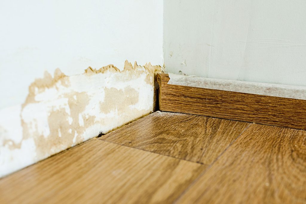 Inspect East checks on moisture and mould damage during pre-purchase building inspections