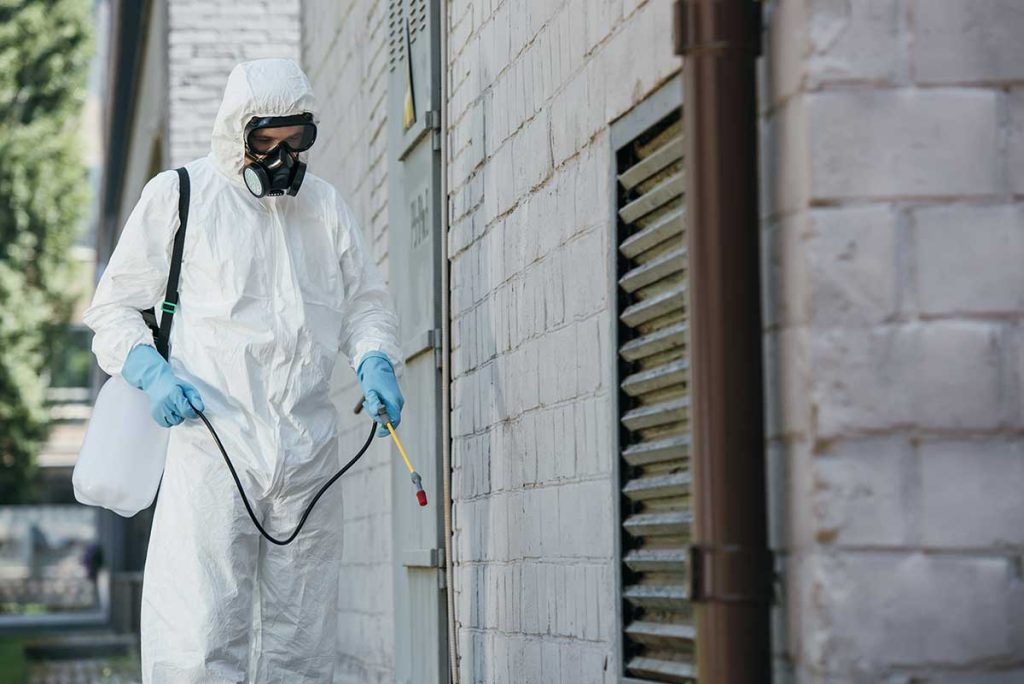 Regular Pest Inspections for Businesses