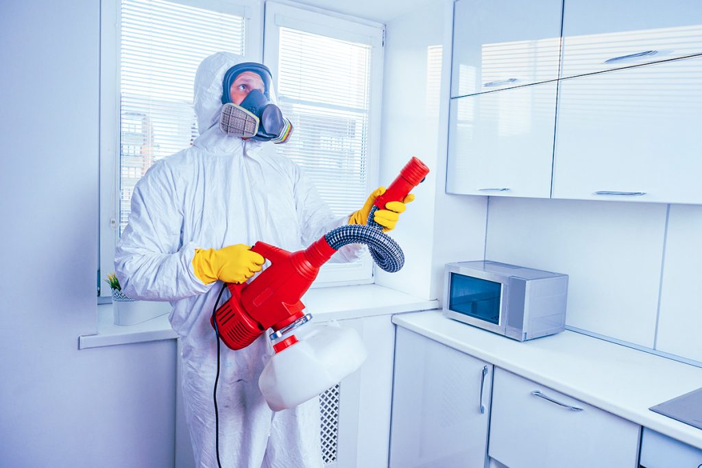 Building And Pest Inspection
